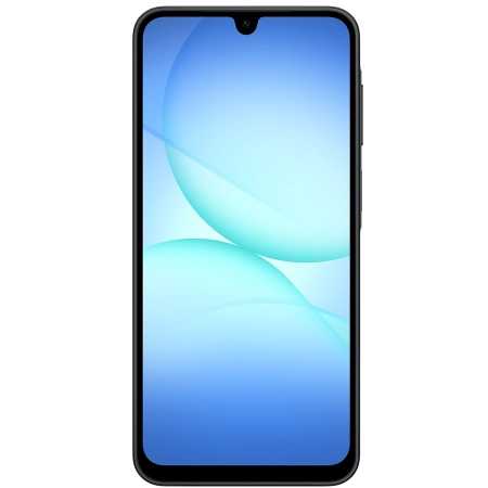 Samsung Galaxy A17 8/256GB Black